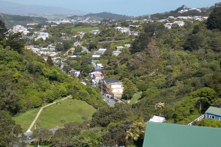 Photo of property in 1/127 Raroa Road, Aro Valley, Wellington, 6012