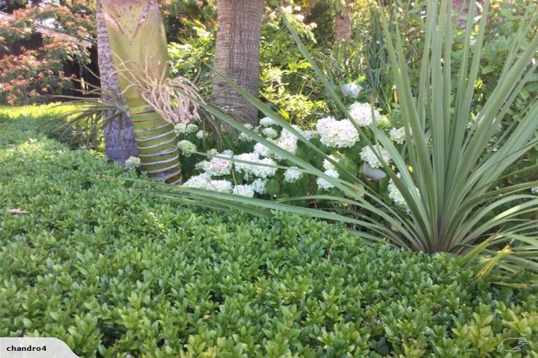 Photo of property in 88 Te Pua Road, Kaikohe, 0472