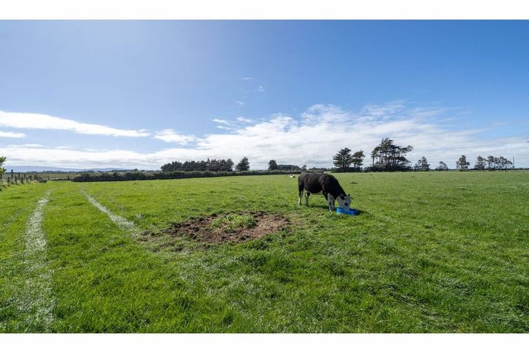 Photo of property in 310 Waimatuku Road, Waimatuku, Riverton, 9883