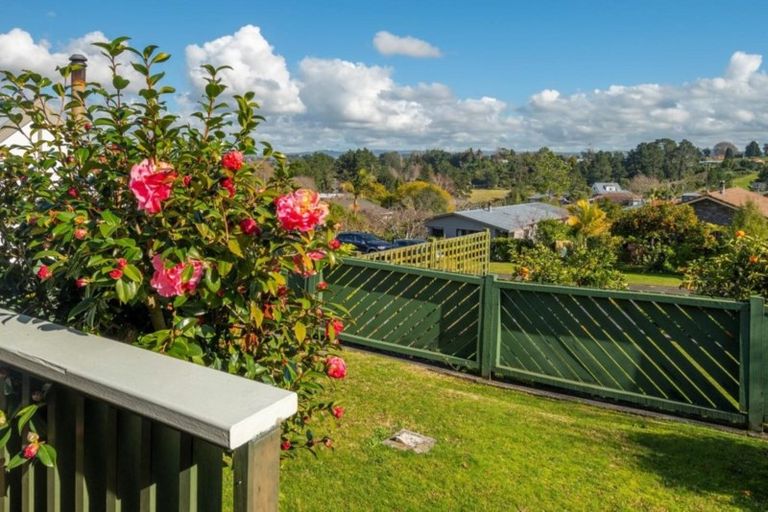 Photo of property in 49 Townhead Crescent, Bethlehem, Tauranga, 3110
