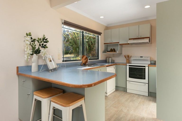 Photo of property in 33 Collingwood Street, Judea, Tauranga, 3110