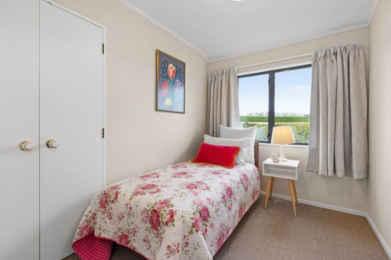 Photo of property in 98 Crystall Road, Pakipaki, Hastings, 4172