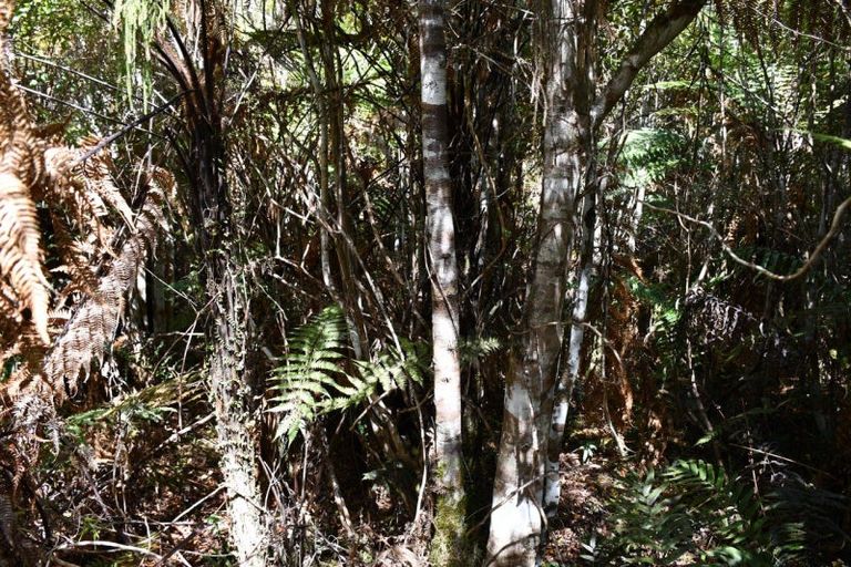 Photo of property in 78b Eco Place, Little Wanganui, Karamea, 7893