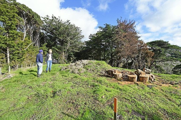 Photo of property in 99 Birdsall Road, Whangateau, Warkworth, 0985