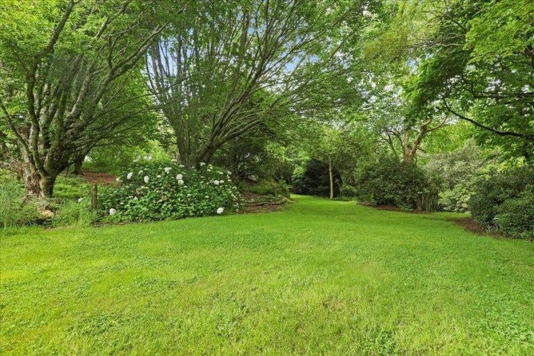 Photo of property in 488 Tapuwae Road, Maniaiti / Benneydale, Te Kuiti, 3987