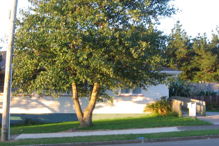 Photo of property in 140 Bedford Street, Cannons Creek, Porirua, 5024