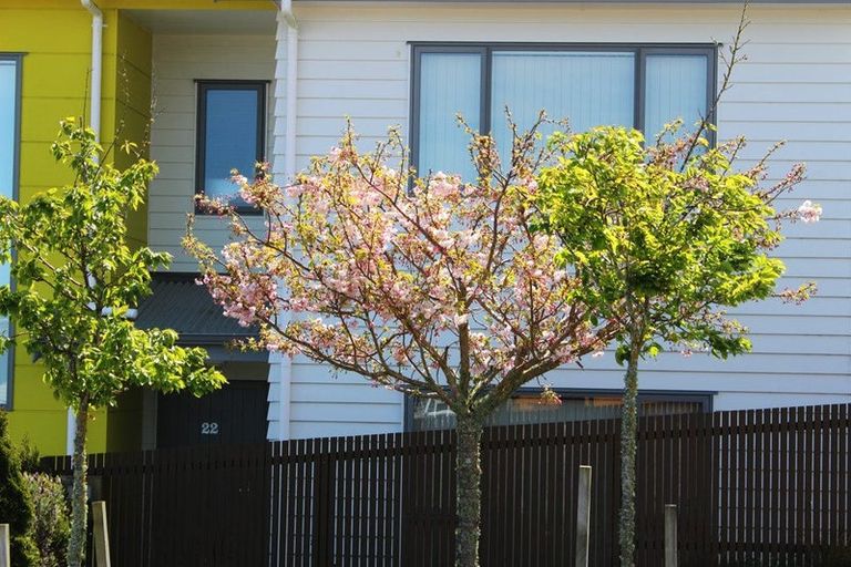 Photo of property in 22 Trelawny Terrace, Grenada Village, Wellington, 6037