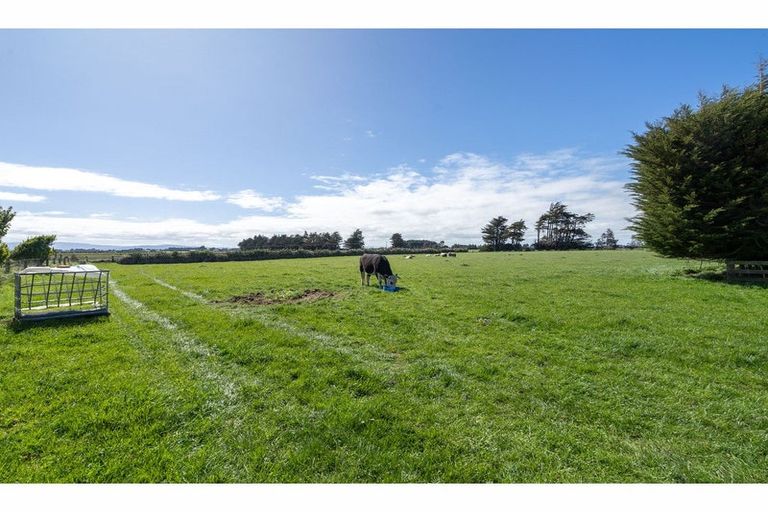 Photo of property in 310 Waimatuku Road, Waimatuku, Riverton, 9883