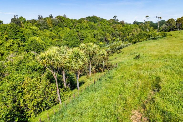 Photo of property in 203 Henwood Road, Westgate, 0814