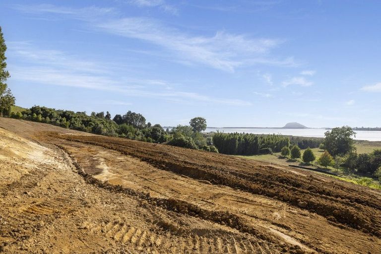 Photo of property in 137 Lochhead Road, Te Puna, Tauranga, 3176