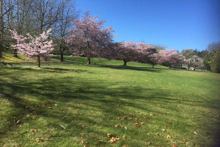 Photo of property in 208 Mapara Road, Acacia Bay, Taupo, 3385