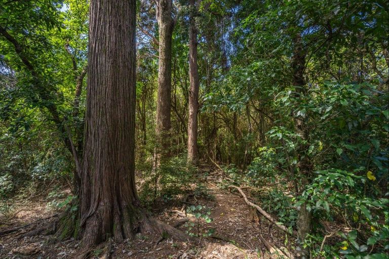 Photo of property in 342 Le Bons Bay Road, Le Bons Bay, Akaroa, 7583