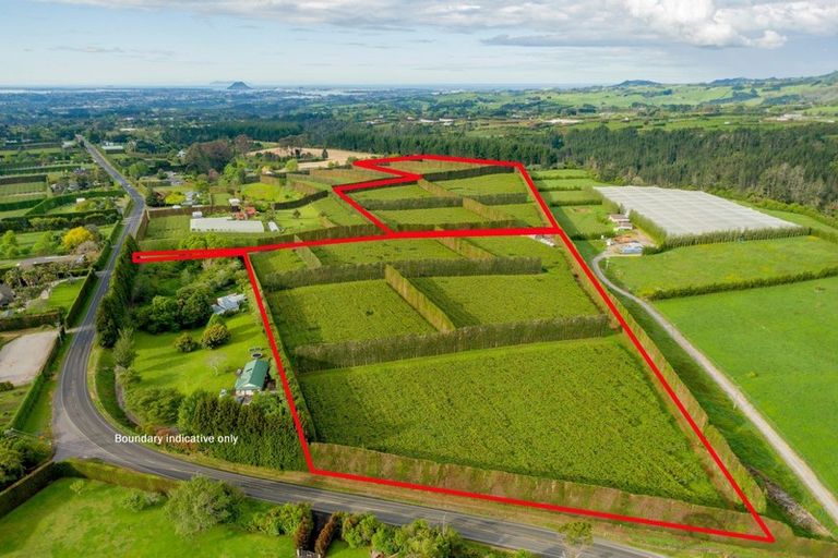 Photo of property in 837b Pyes Pa Road, Pyes Pa, Tauranga, 3173