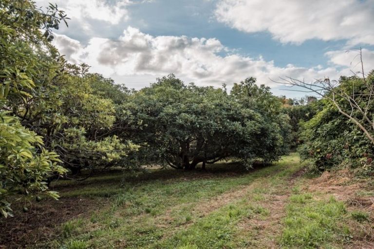 Photo of property in 470a Upper Ohauiti Road, Ohauiti, Tauranga, 3173