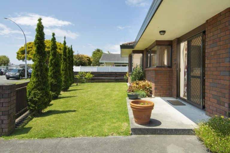 Photo of property in 1/24 Fourth Avenue, Tauranga, 3110