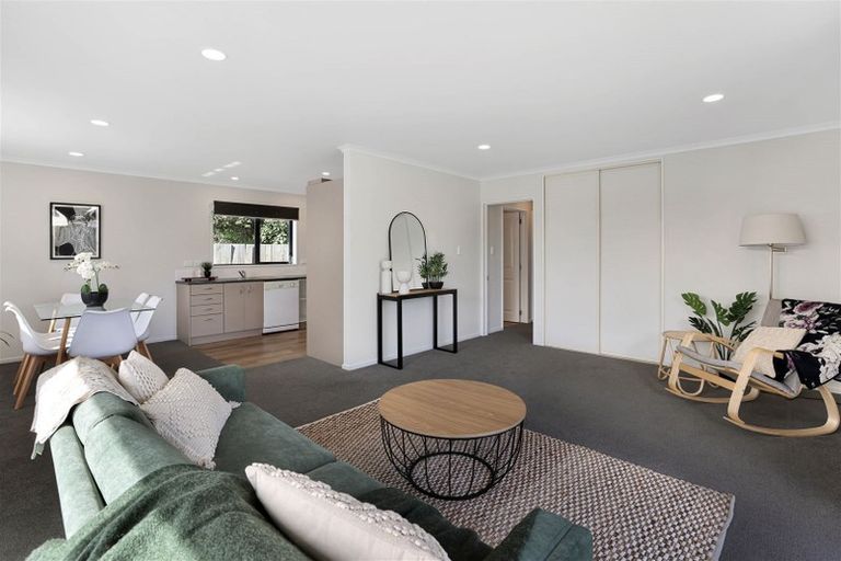 Photo of property in 20a Eton Street, Hampstead, Ashburton, 7700