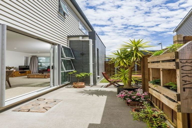 Photo of property in 41 Liquidambar Drive, Hobsonville, Auckland, 0616