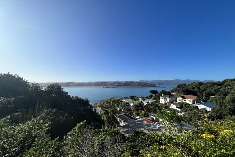 Photo of property in 24 Hungerford Road, Lyall Bay, Wellington, 6022