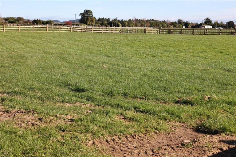 Photo of property in 425 Tararua Road, Levin, 5571