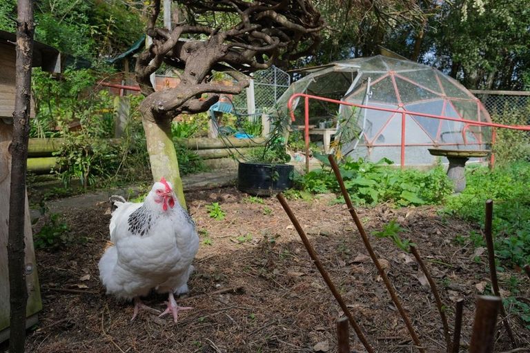 Photo of property in 41 Paterson Road, Mosgiel, 9092