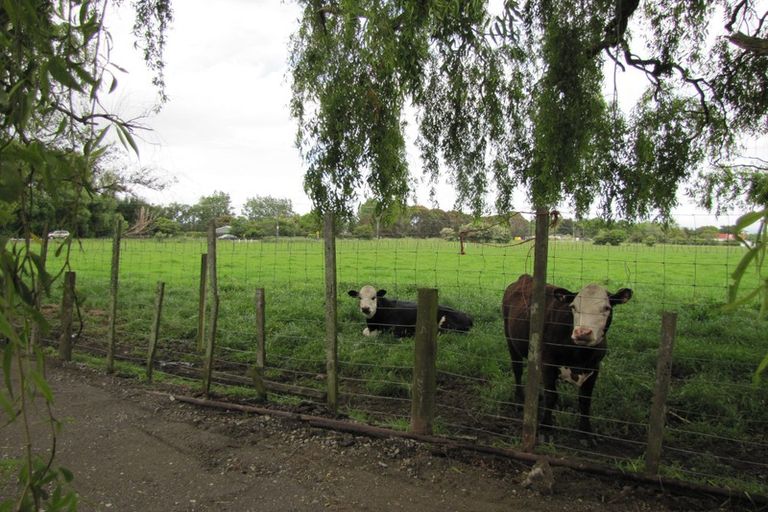 Photo of property in 817 Rangitikei Line, Milson, Palmerston North, 4475