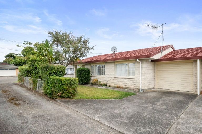 Photo of property in 65 Winchester Street, Levin, 5510