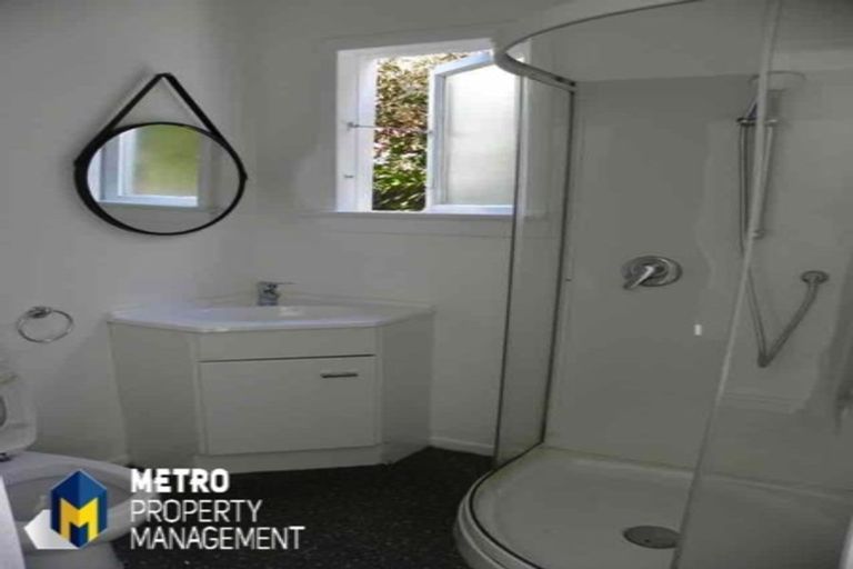 Photo of property in 41 Albert Street, Saint Clair, Dunedin, 9012