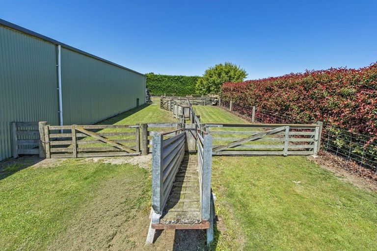 Photo of property in 347 Wakanui Road, Elgin, Ashburton, 7777