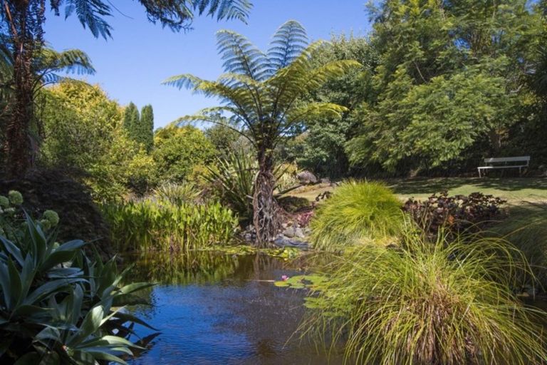 Photo of property in 72 Koutunui Road, Athenree, Katikati, 3177