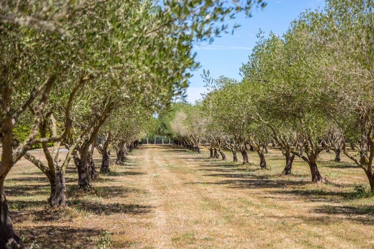 Photo of property in 399a Lake Ferry Road, Dyerville, Martinborough, 5781