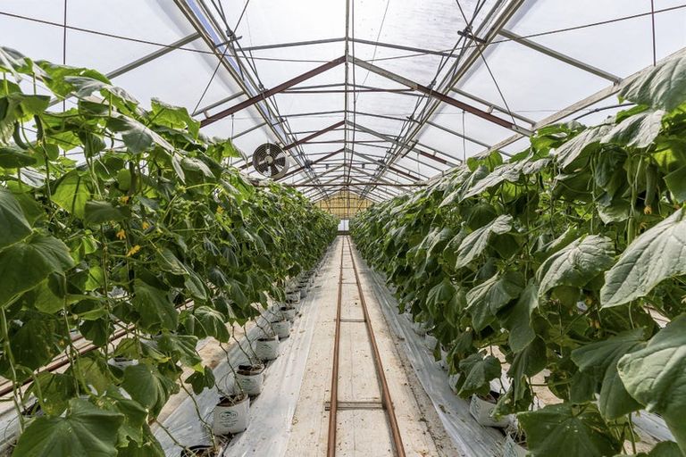 Photo of property in 386 Drury Hills Road, Drury, 2577