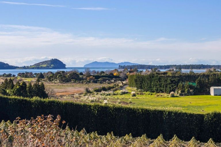 Photo of property in 252 Tuapiro Road, Tahawai, Katikati, 3170