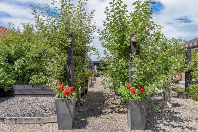 Photo of property in 59 Armstrong Avenue, Carterton, 5713