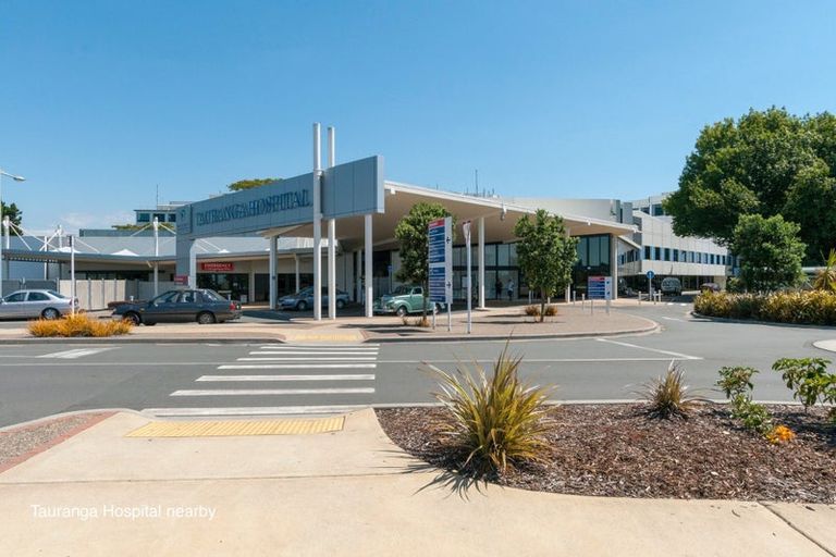 Photo of property in 13 Neil Place, Gate Pa, Tauranga, 3112