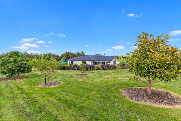 Photo of property in 2001 Te Matai Road, Ngawaro, Te Puke, 3188