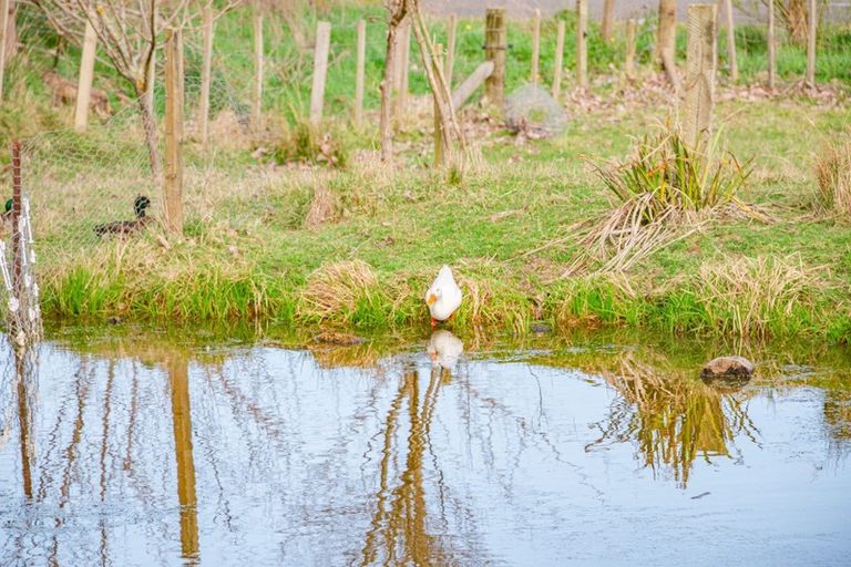 Photo of property in 653 No 3 Line, Okoia, Whanganui, 4582