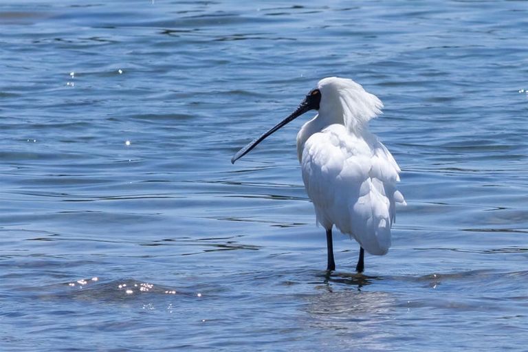 Photo of property in 3/45 Beach Road, Waikawa, Picton, 7220