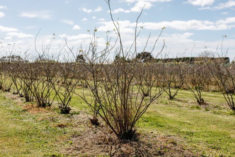 Photo of property in 36 Hogbin Road, Te Teko, Whakatane, 3193