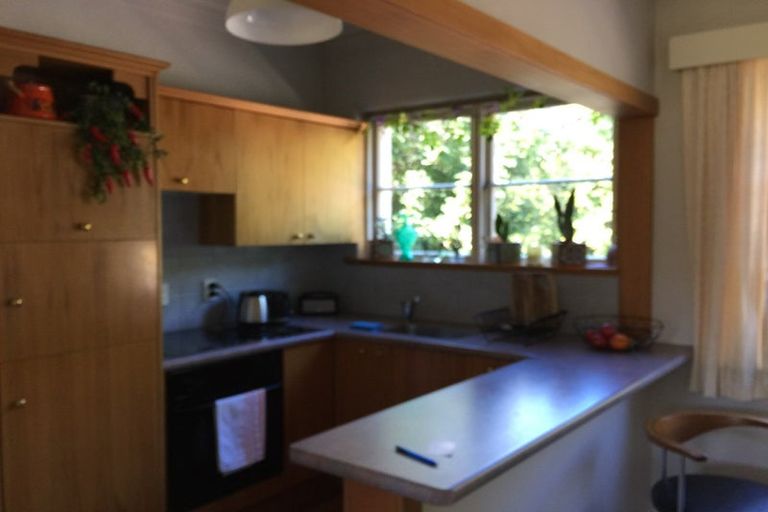 Photo of property in 4 Alva Street, Dunedin Central, Dunedin, 9016