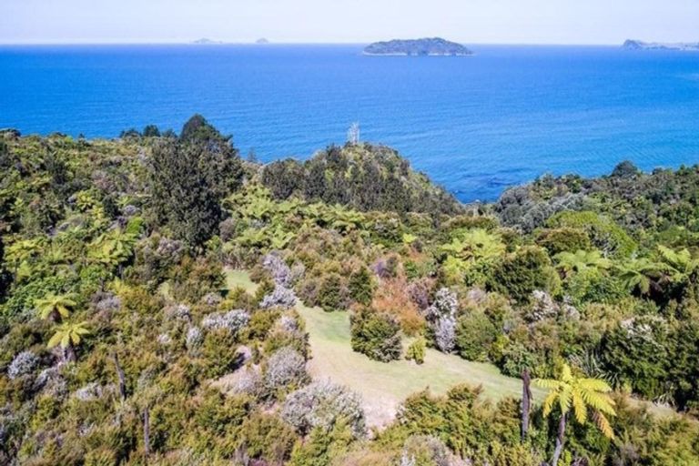 Photo of property in 160 Pumpkin Hill Road, Pumpkin Hill, Whitianga, 3591