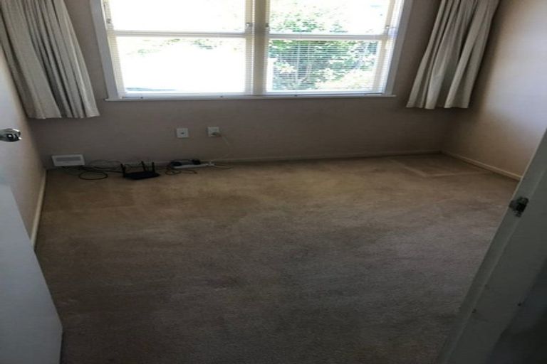 Photo of property in 56 Wake Street, Chartwell, Hamilton, 3210