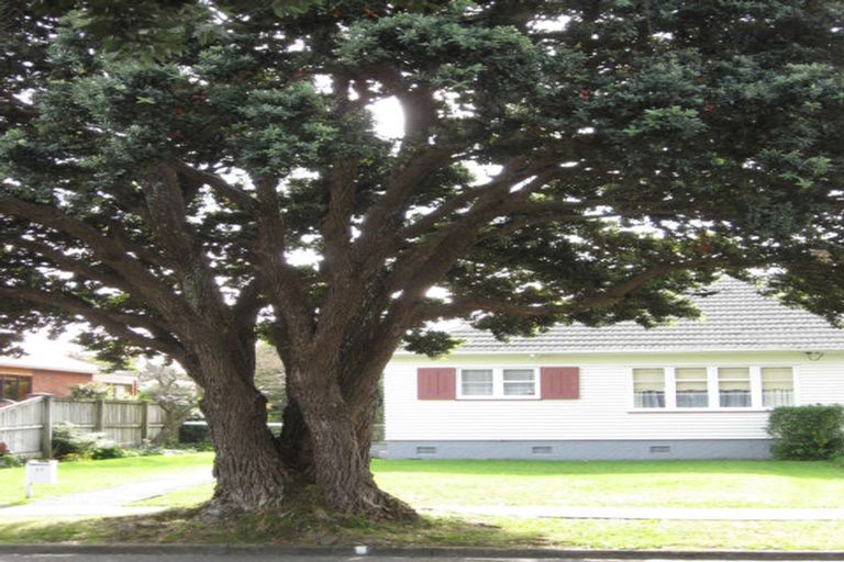 Photo of property in 77 Copeland Street, Epuni, Lower Hutt, 5011