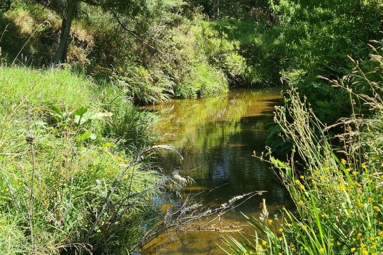 Photo of property in 444 Brown Road, Mangawhai, Kaiwaka, 0573