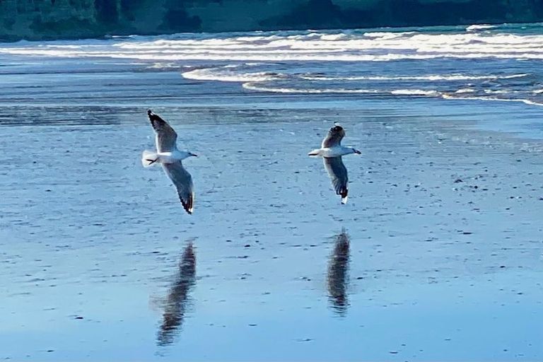 Photo of property in 22 Caldera Drive, Long Bay, Auckland, 0630