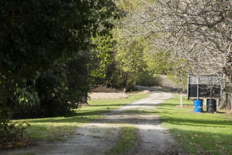 Photo of property in 1468 Matawai Road, Ormond, Gisborne, 4071