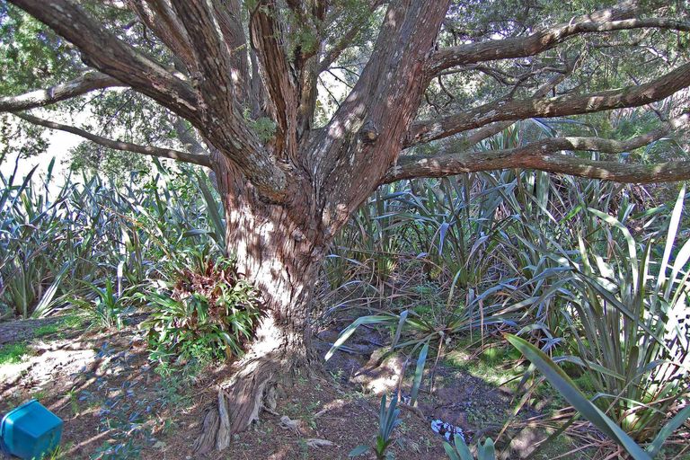 Photo of property in 5 Lupis Way, Kaiwaka, 0573