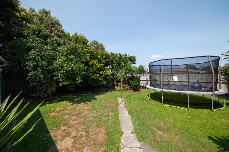 Photo of property in 8 Austin Place, Awapuni, Palmerston North, 4412