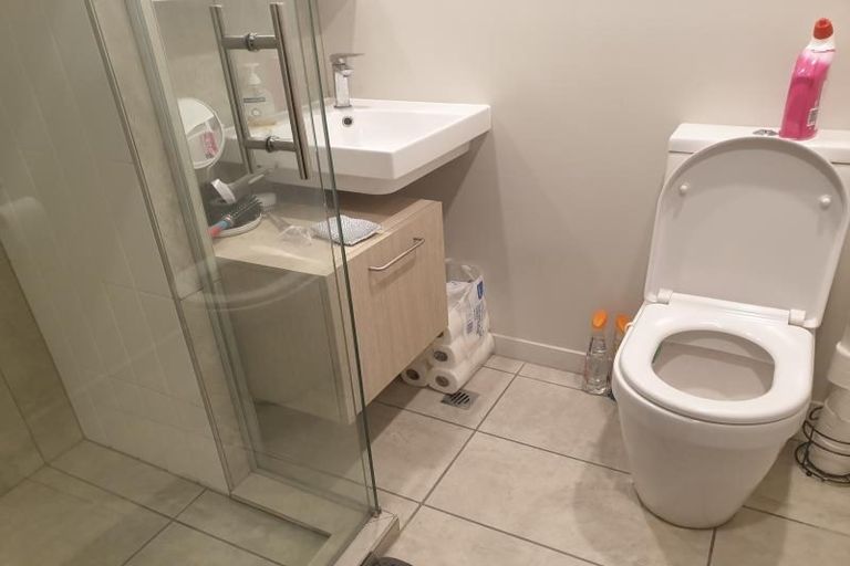 Photo of property in Vsp South, 207/168 Victoria Street, Te Aro, Wellington, 6011