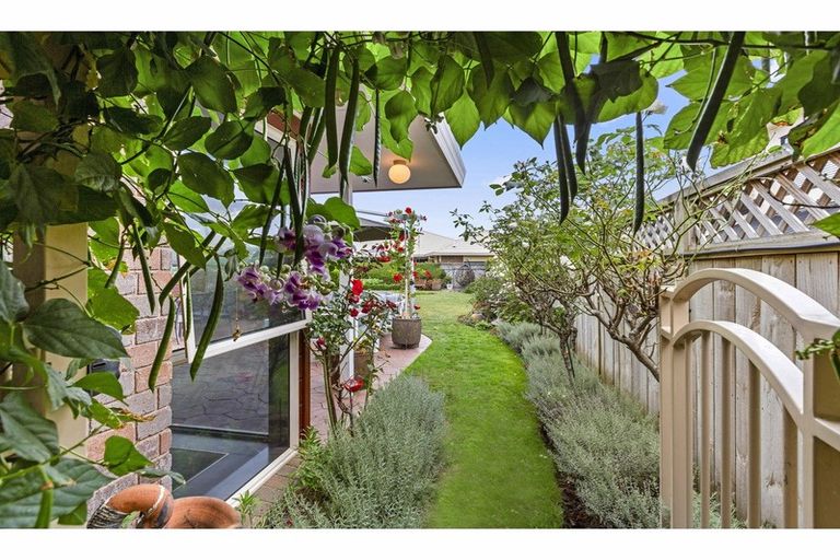 Photo of property in 231 Pukete Road, Pukete, Hamilton, 3200