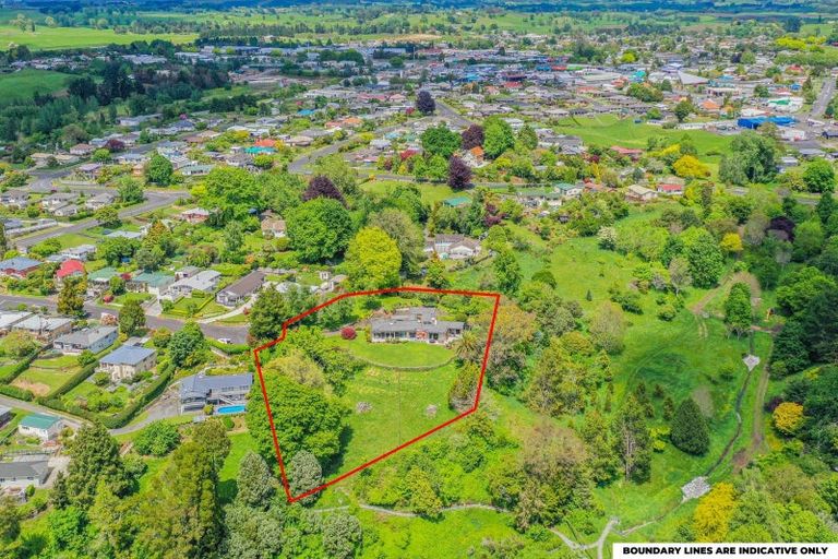 Photo of property in 16 Norrie Place, Putaruru, 3411